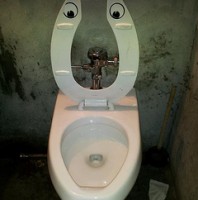 Toilet Smiley, by Sean Savage