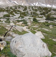 Side Smiling Rock