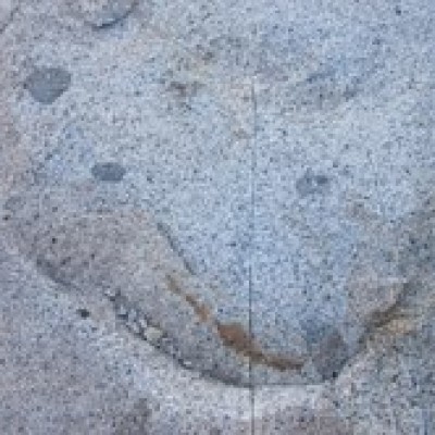 Smiling Rock Bear