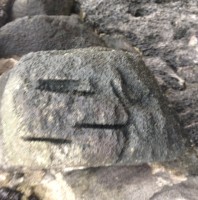 Rock Cat Smiley