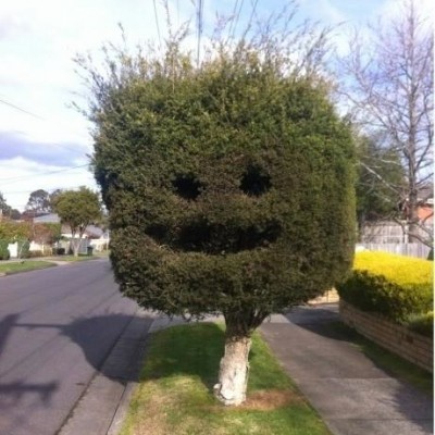 Love this! Bush Smiley.