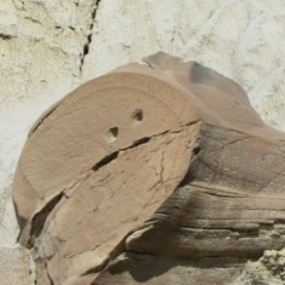 Concretion in Theodore National Park