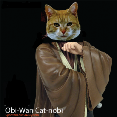 Obi-Wan Cat-nobi