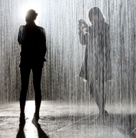 The Rain Room Exhibit