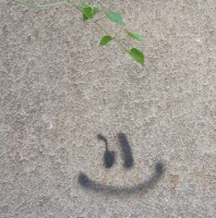 Welcome Smiley at my Doorstep