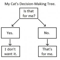 Cat Flow Chart