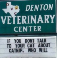 DARE to keep your cat off drugs.