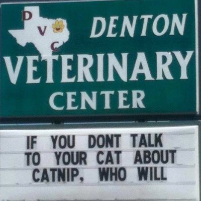 DARE to keep your cat off drugs.