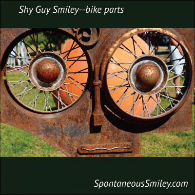 Shy Guy Smiley