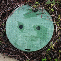 Sprinkler Cover Smiley