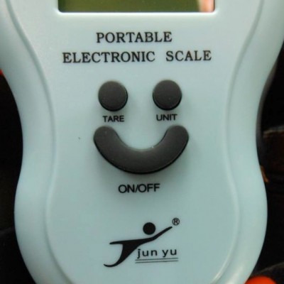 Scale Smiley