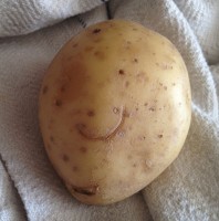 Potato Smiley