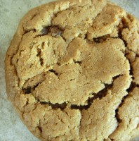 Gingersnap Smiley