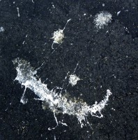 Bird Poop Smiley