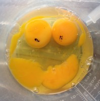Smiley Omelette in the Making