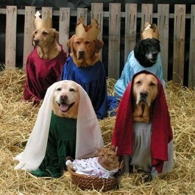 Wacky Nativity, 1 of many!
