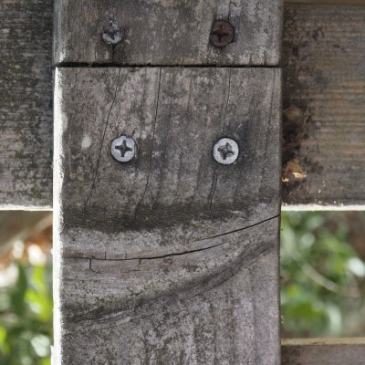 Fence Smiley Face