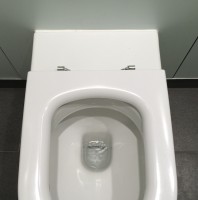 Toilet Smiley