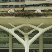 Overpass #SmileyFace