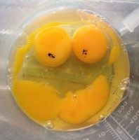 Egg #Smiley #SmileyFace