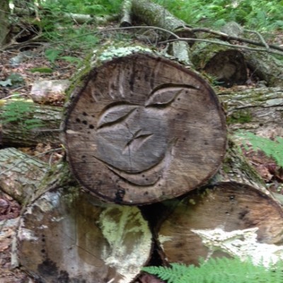 Fallen Tree #Smiley #SmileyFace