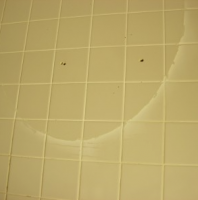 Grocery Store Restroom Smiley