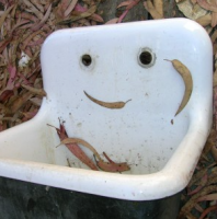 Sink Smiley