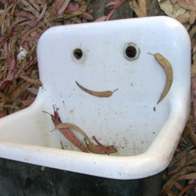 Sink Smiley