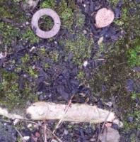 Woodland Debris Smiley 1