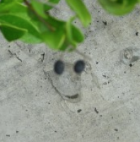 Cement Wall Smiley