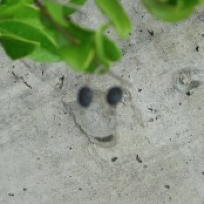 Cement Wall Smiley