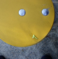 Playground Smiley 2