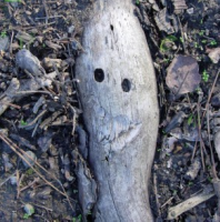 Root Smiley