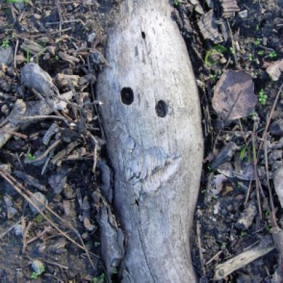 Root Smiley