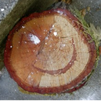 Wood Smiley