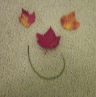 Fall Leaves Smiley