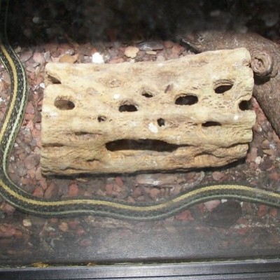 Snake House Smiley