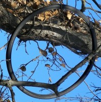 Tire in a Tree Smiley