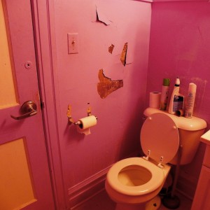 pink-potty-peeling-paint-smiley