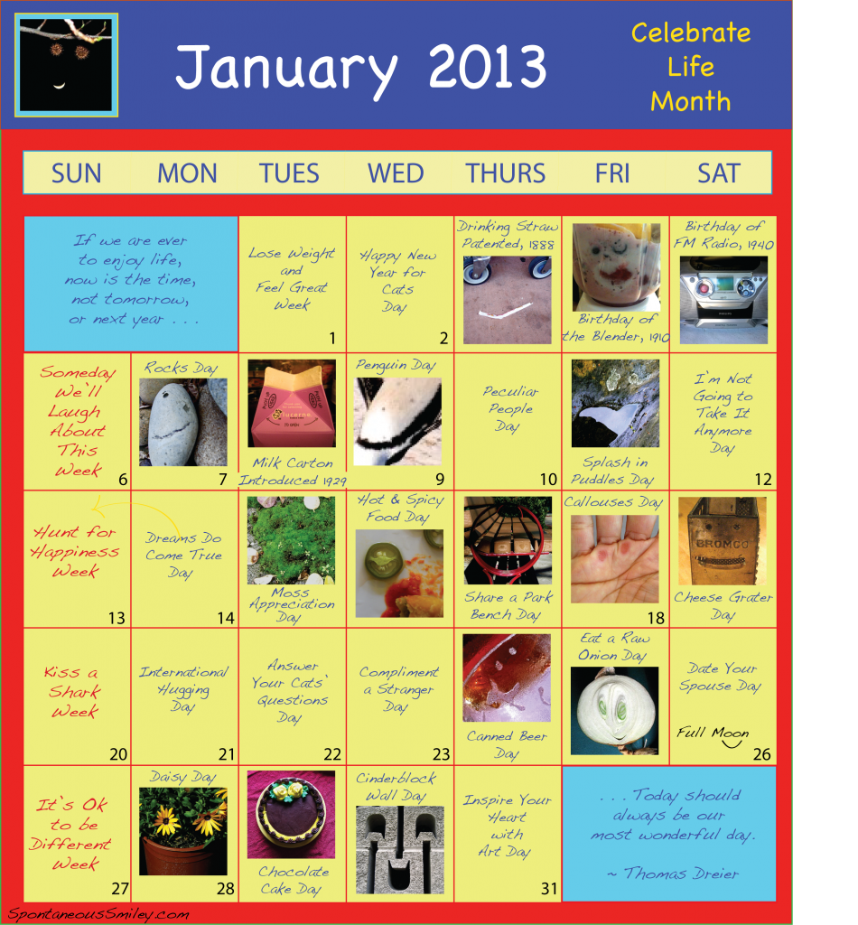 calendar 2013-1
