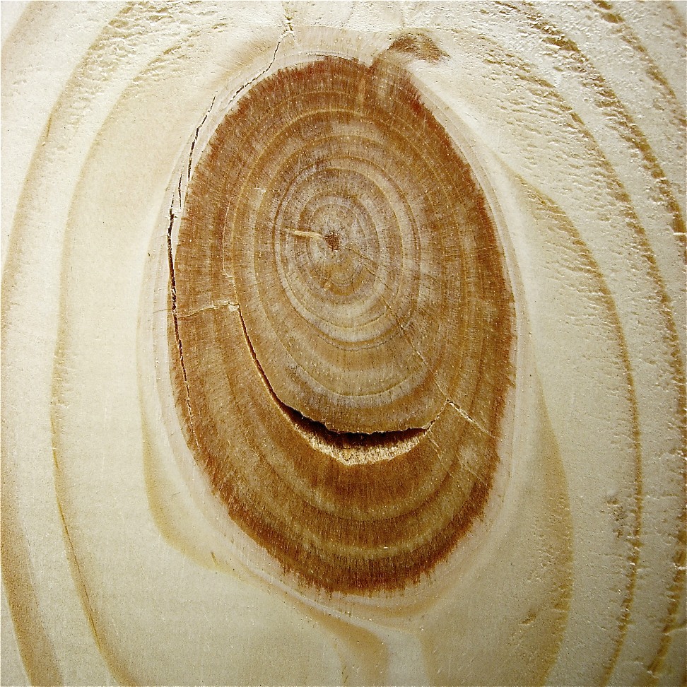 Cyclops Lumber Smiley with Cowlick